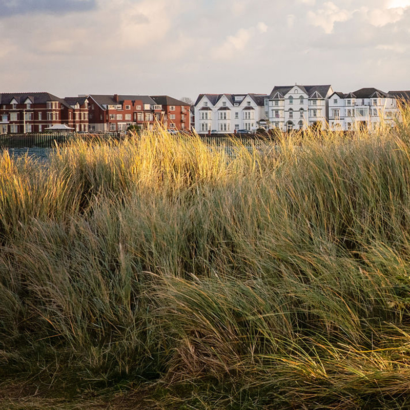 Unite Professionals Case Management Case Studies