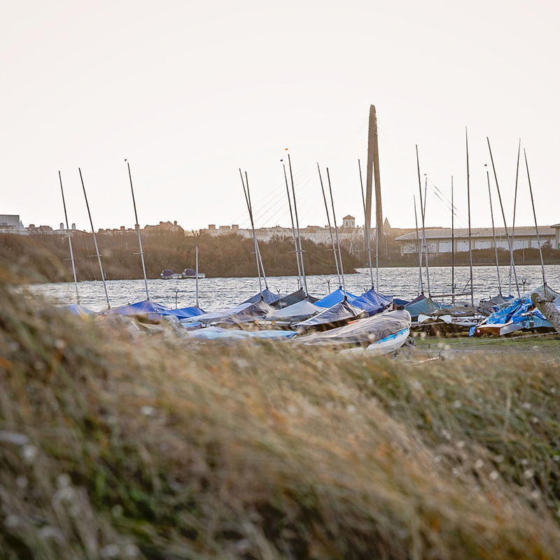 Unite Professionals Case Management Team